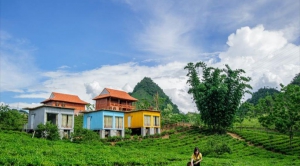Mộc Châu Arena Village Homestay